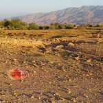 Lever de soleil sur Taliouine