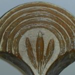 Saffron walden museum