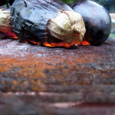 Aubergines grill peau brulee