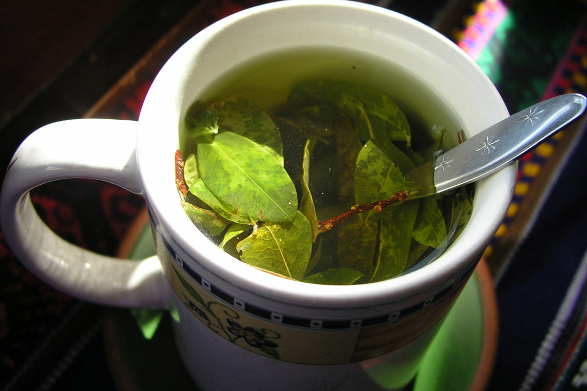 Tasse avec des feuilles de coca en train d'infuser