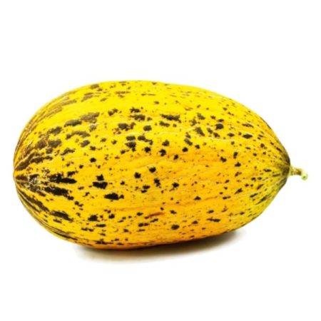 Melon sanchou marhoum