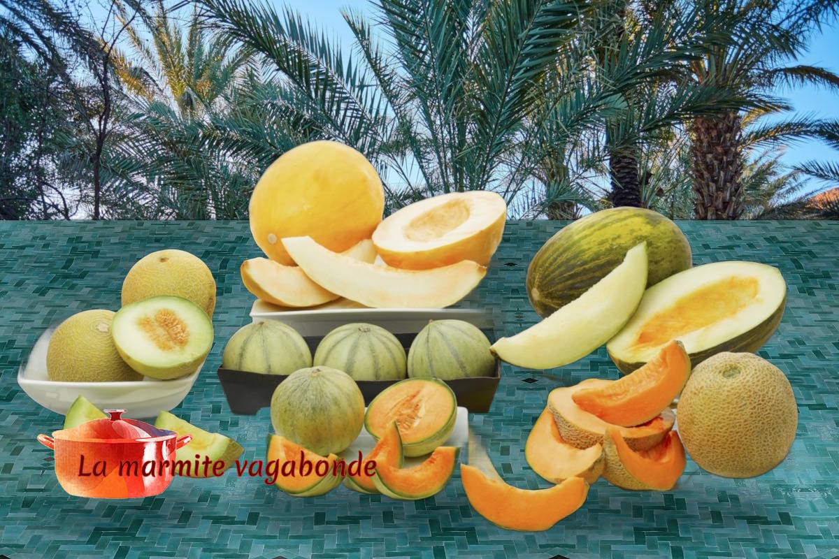 Les melons du Maroc, ou comment j'ai enfin appris à ne plus me tromper au marché Assortiment de melons sur une table en zellige devant une palmeraie